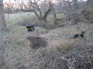 Digging-Vernal-Pool