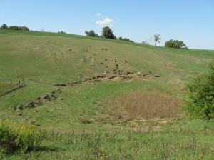 Before-Island-Pond