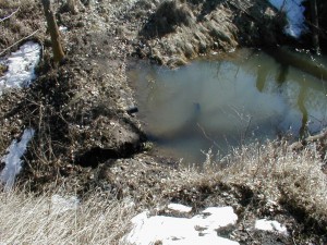 broken vernal pond