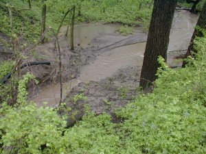 destroyed vernal pond