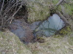 Full vernal Pond