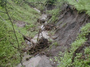 Erosion gully