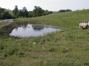 Heart Pond