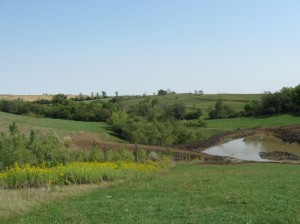 Main-Pond-After