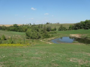 Main-Pond-Before