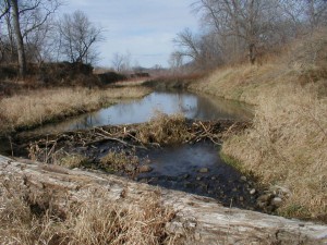 Beaver Dam