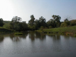 Island pond