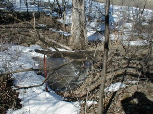 Vernal Pond Snowmelt