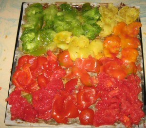 drying-tomatoes