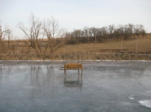 Build-Wild-Goose-Nest