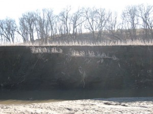 Crop-Field-Eroding-In-Stream