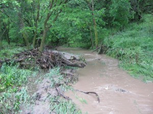 Flood-Damage-Fence