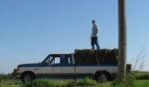 Haybales