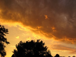 Light-Sky-Dark-Hackberry