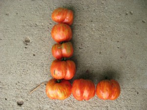 Stuffer-Tomatoes