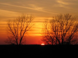 Sunset-Cottonwood