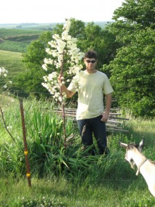 Tall-Yucca-Flower