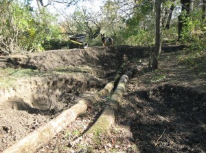 Vernal-Pond-Construction