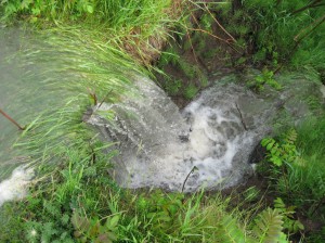 Waterfall-Flood-2008